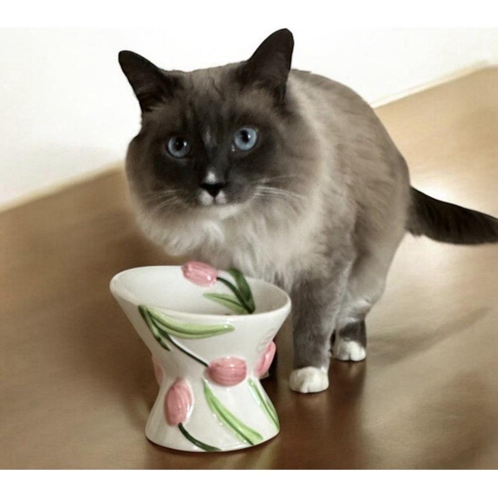 Mellow & Mod Cat Drinking Water Tall Bowl "Pink tulips" Hand Painted Colorful‎